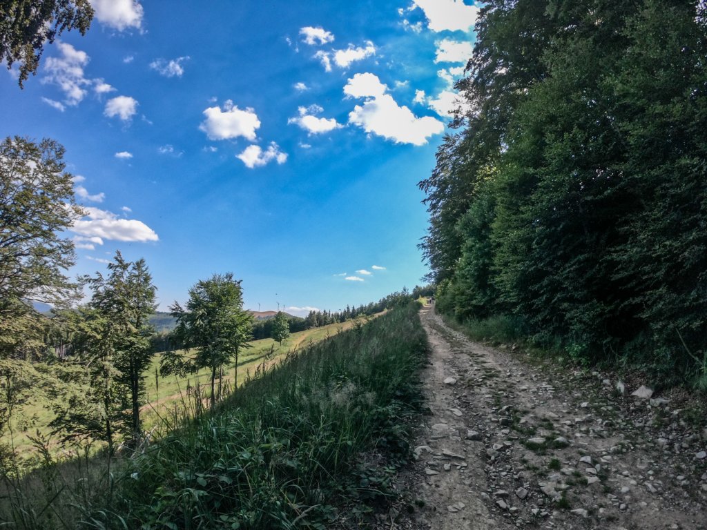 photo4.jpg