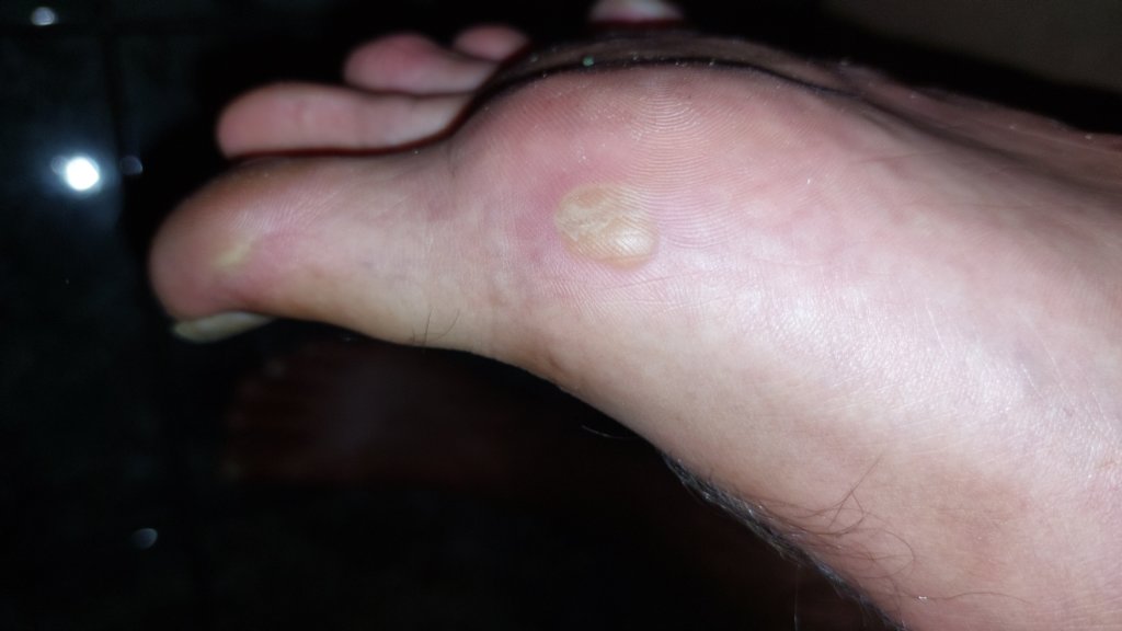 photo99.jpg