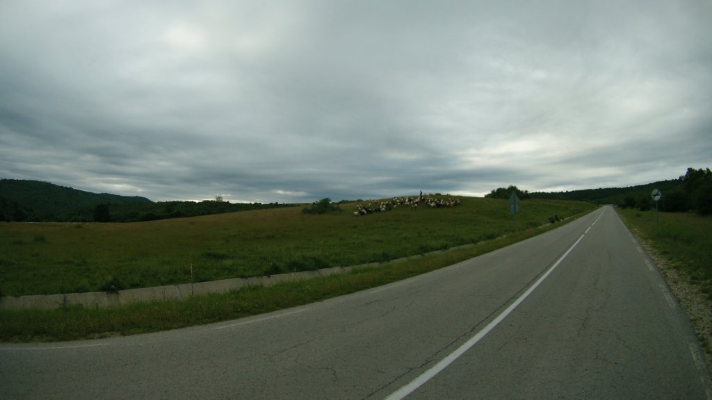 photo18.jpg