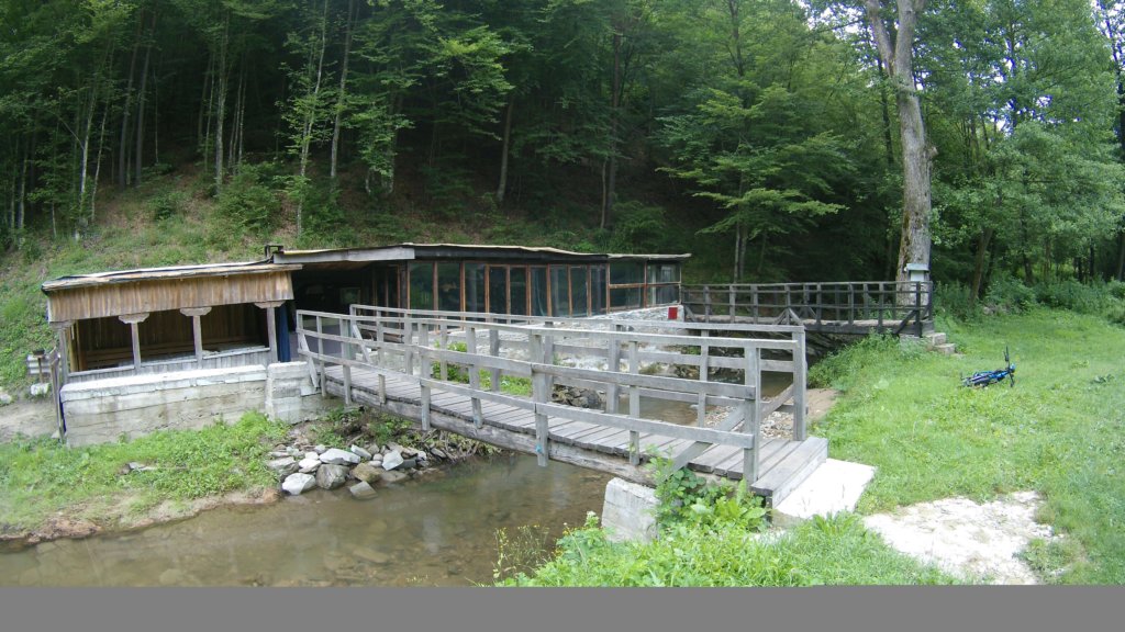 photo24.jpg
