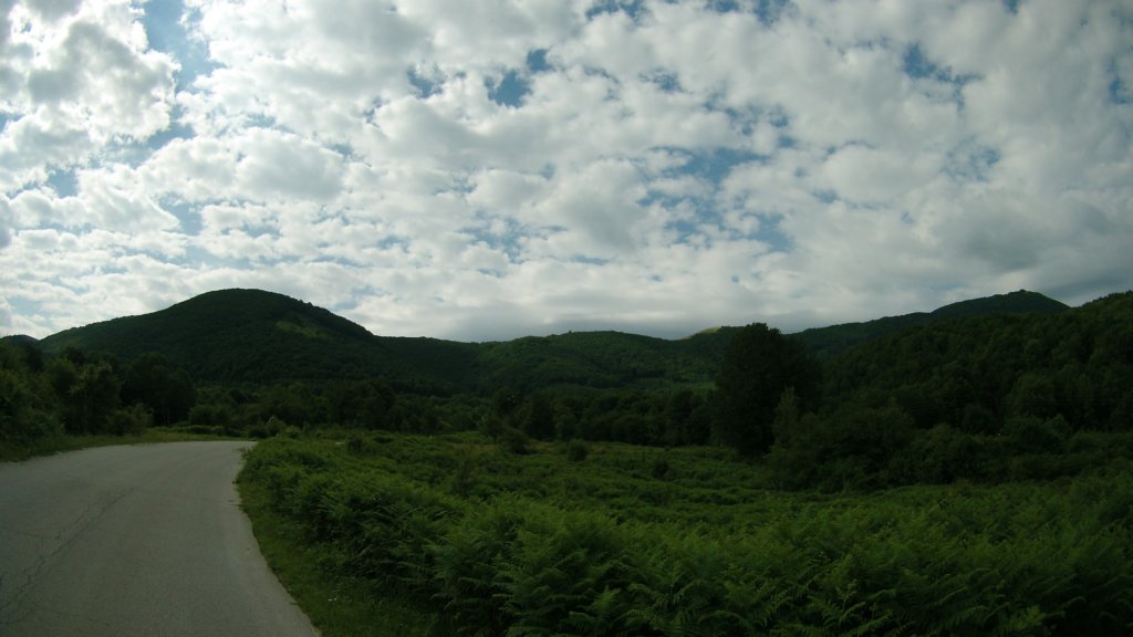 photo33.jpg