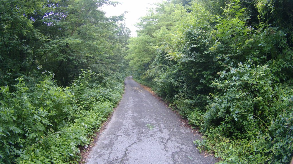 photo6.jpg
