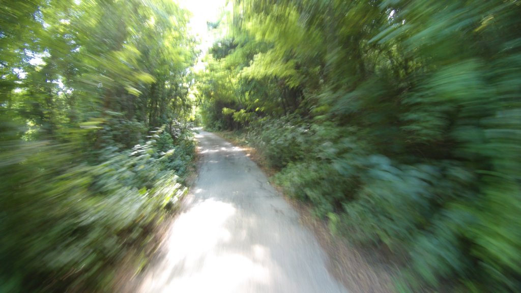 photo70.jpg