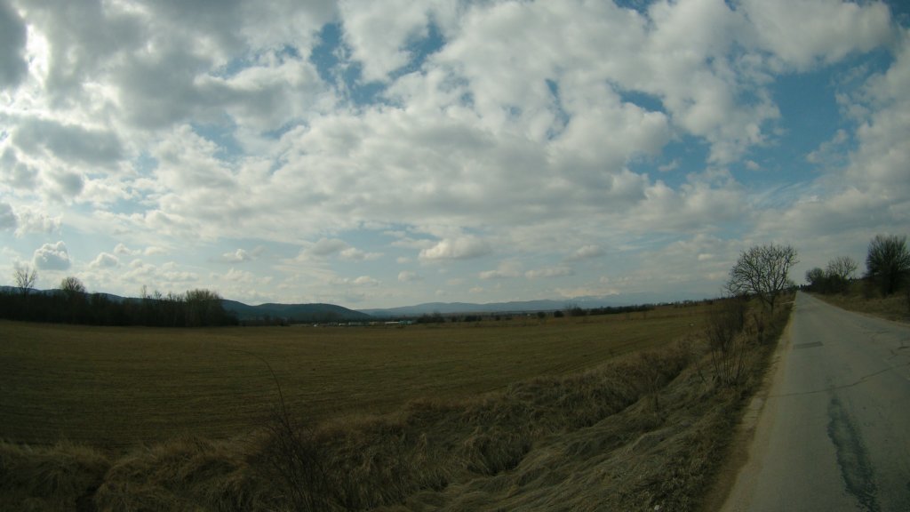 photo26.jpg