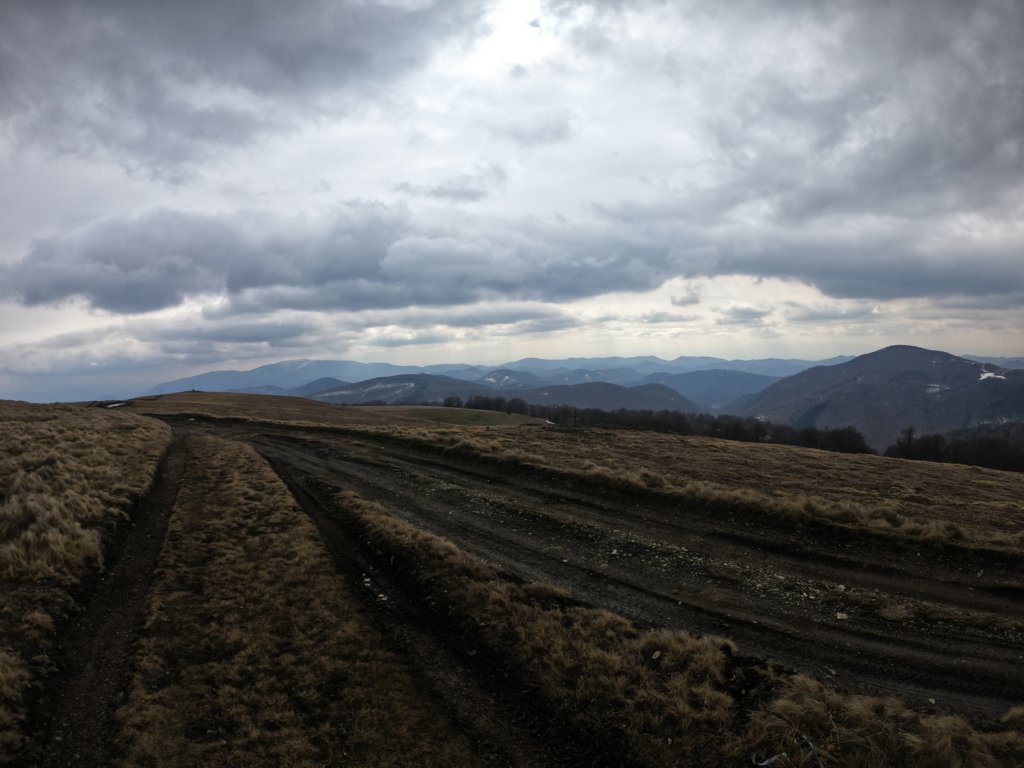 photo14.jpg