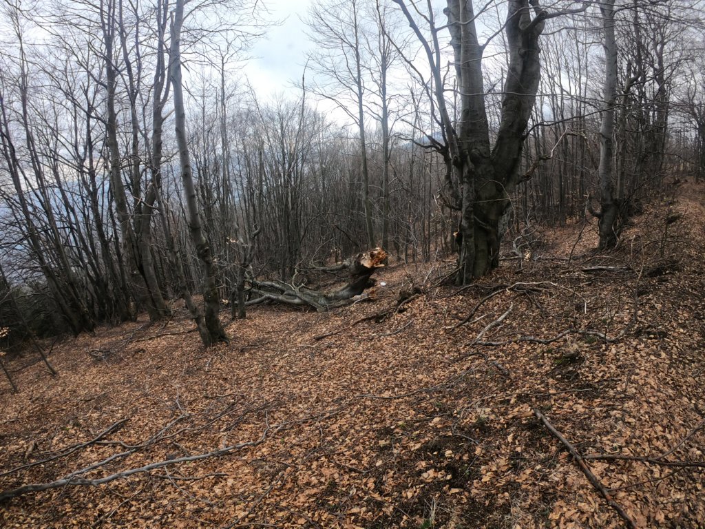 photo20.jpg