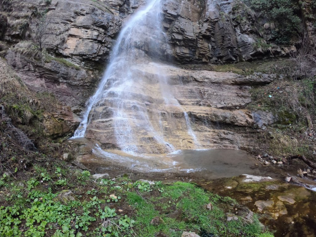 photo34.jpg