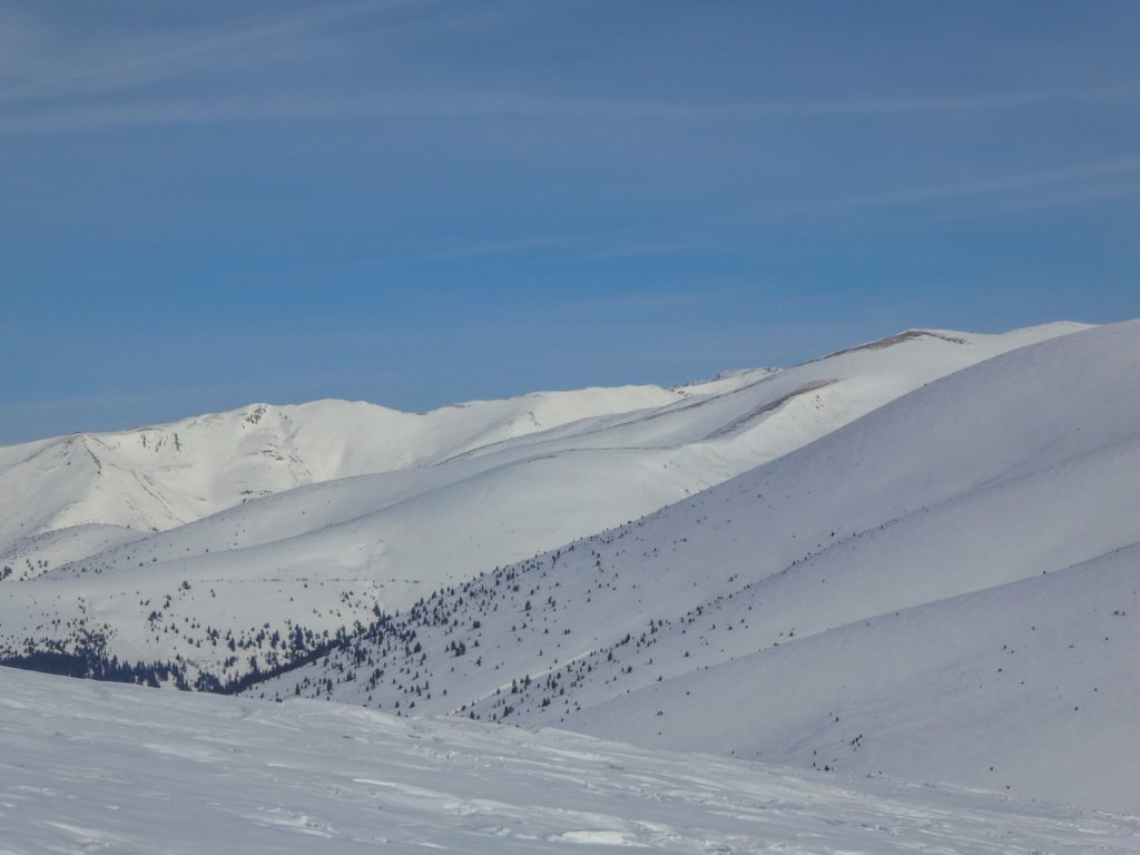 photo34.jpg