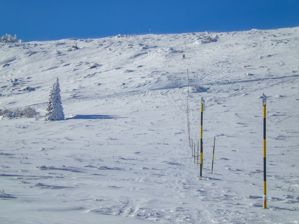 photo20.jpg