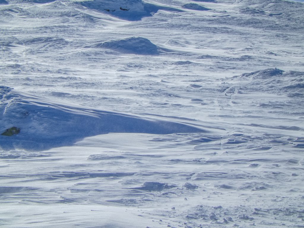 photo31.jpg