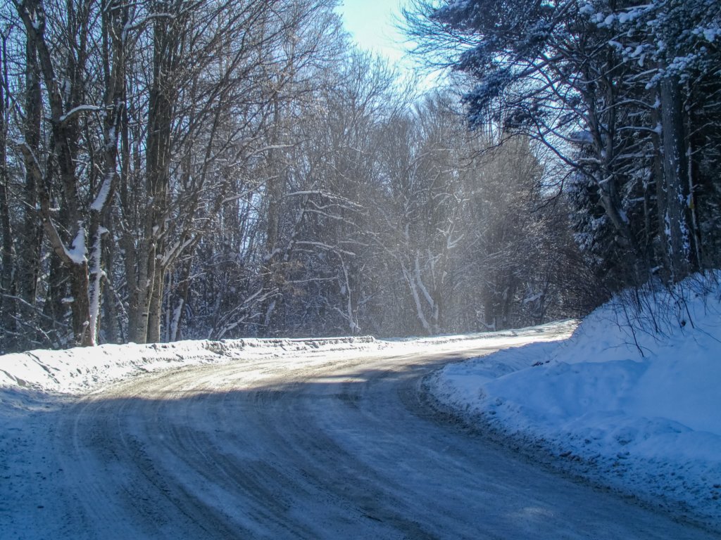 photo5.jpg