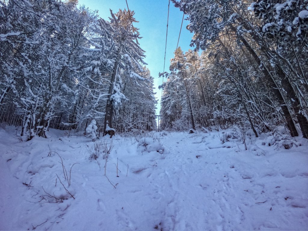 photo6.jpg