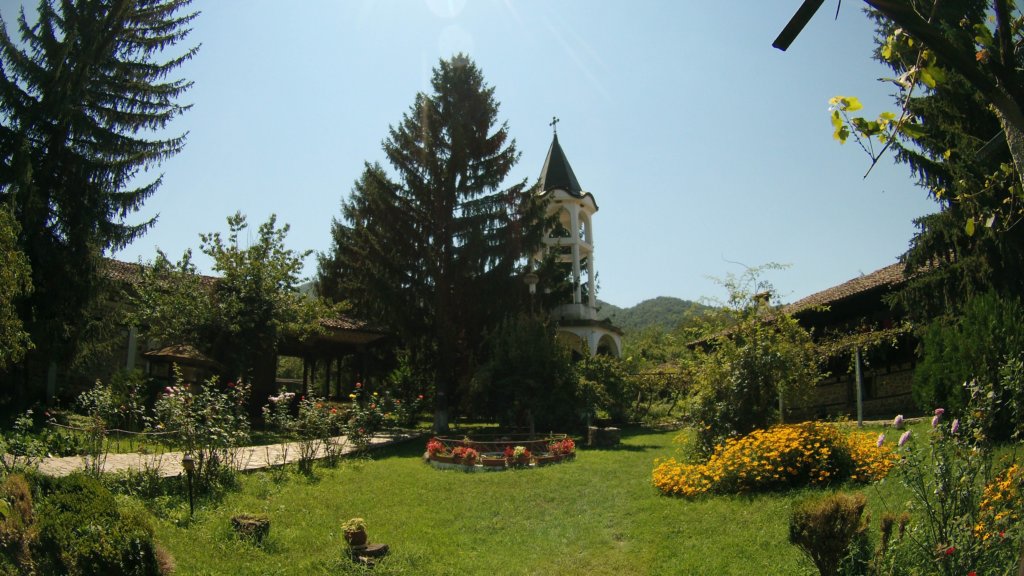 photo51.jpg