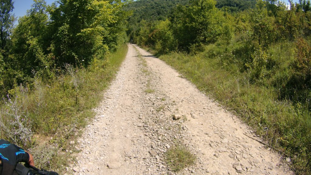 photo59.jpg