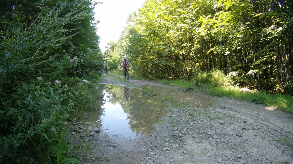 photo66.jpg