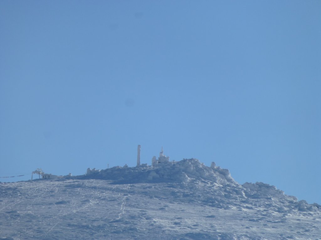 photo23.jpg