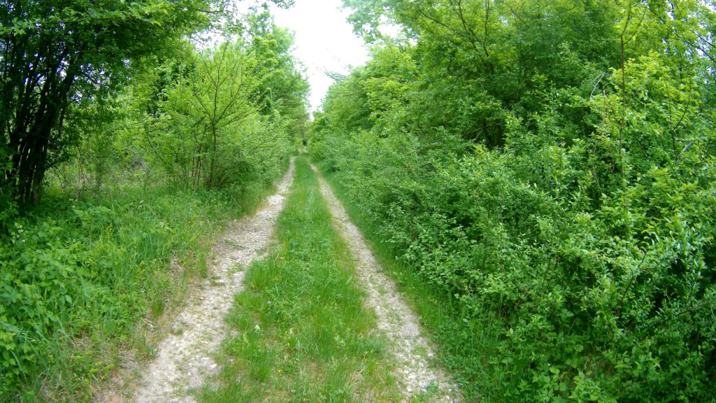 photo130.jpg