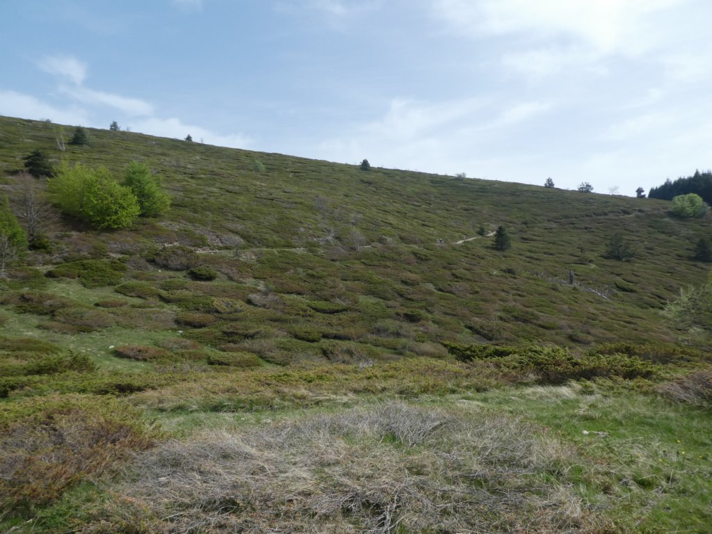 photo31.jpg