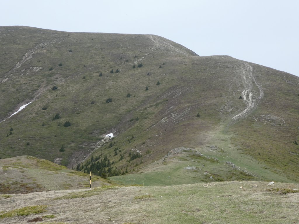 photo69.jpg