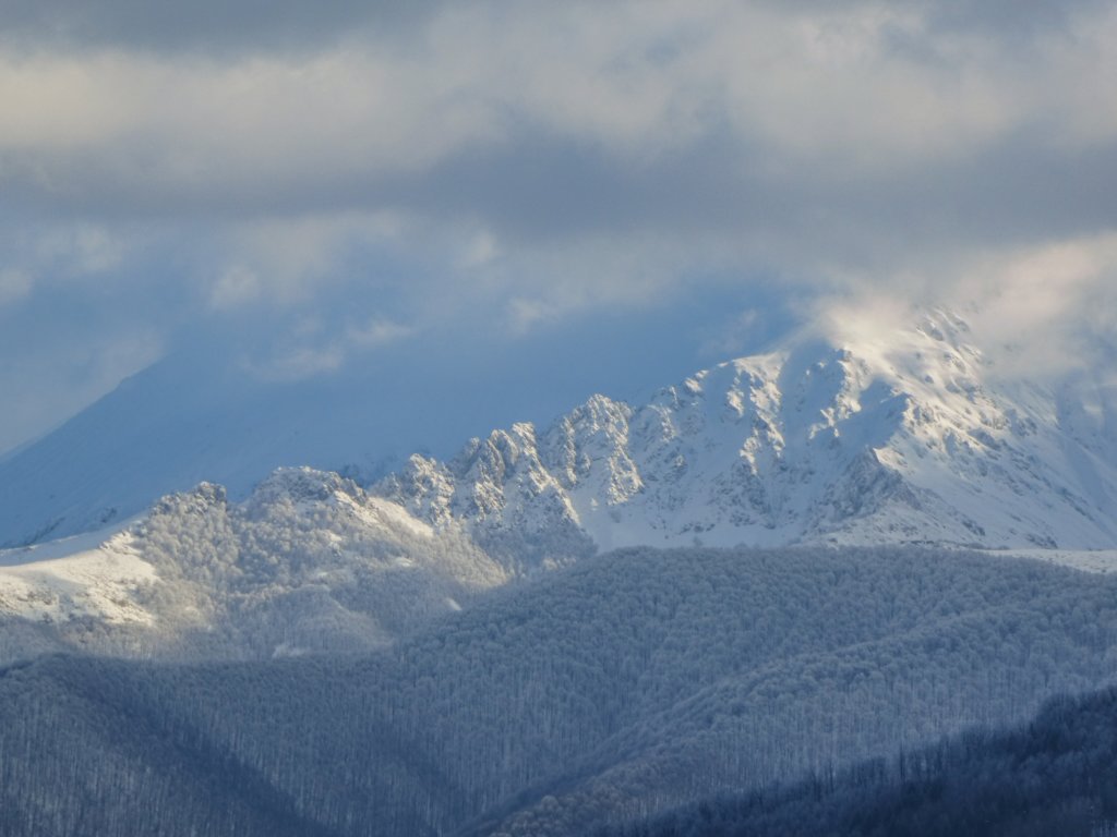 photo8.jpg
