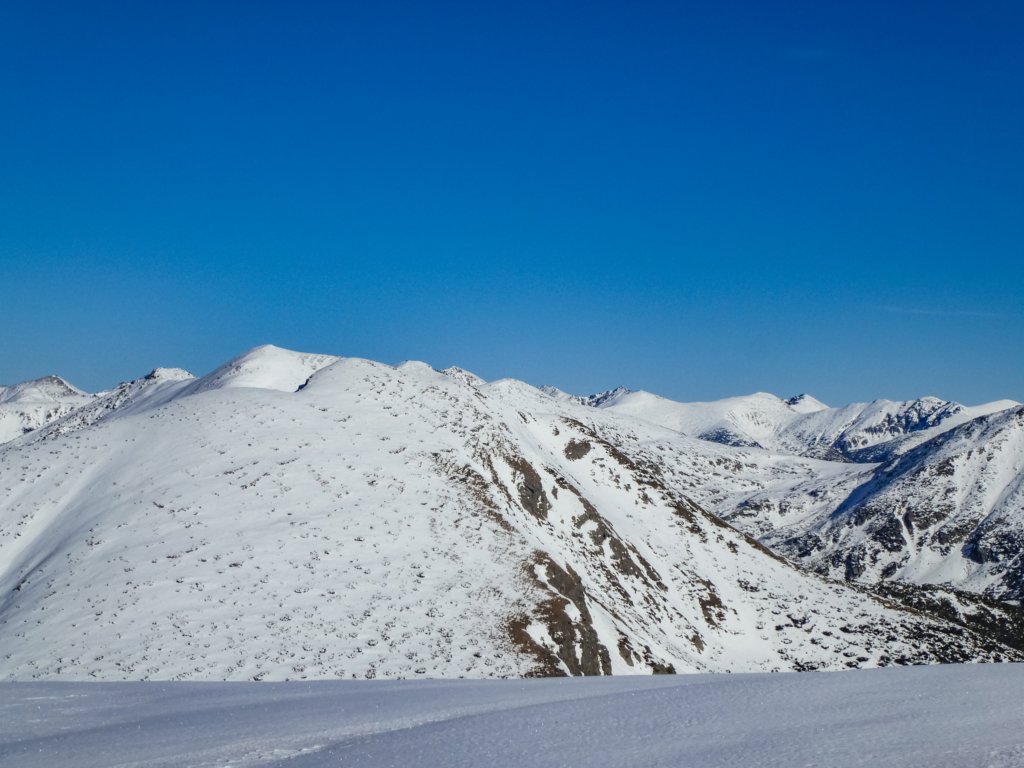 photo33.jpg