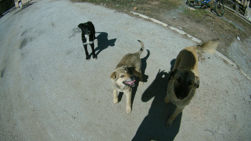 photo57.jpg