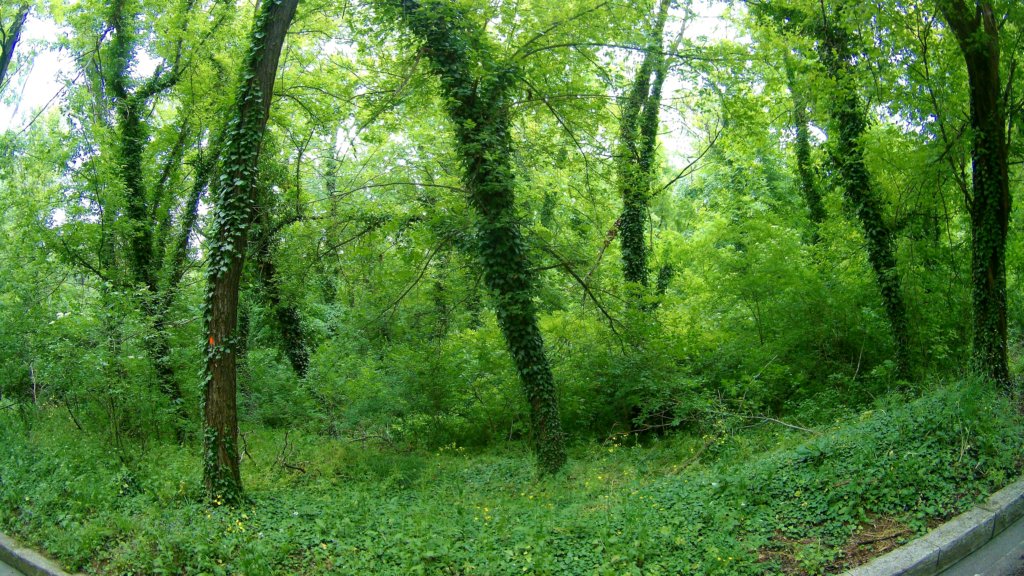 photo10.jpg