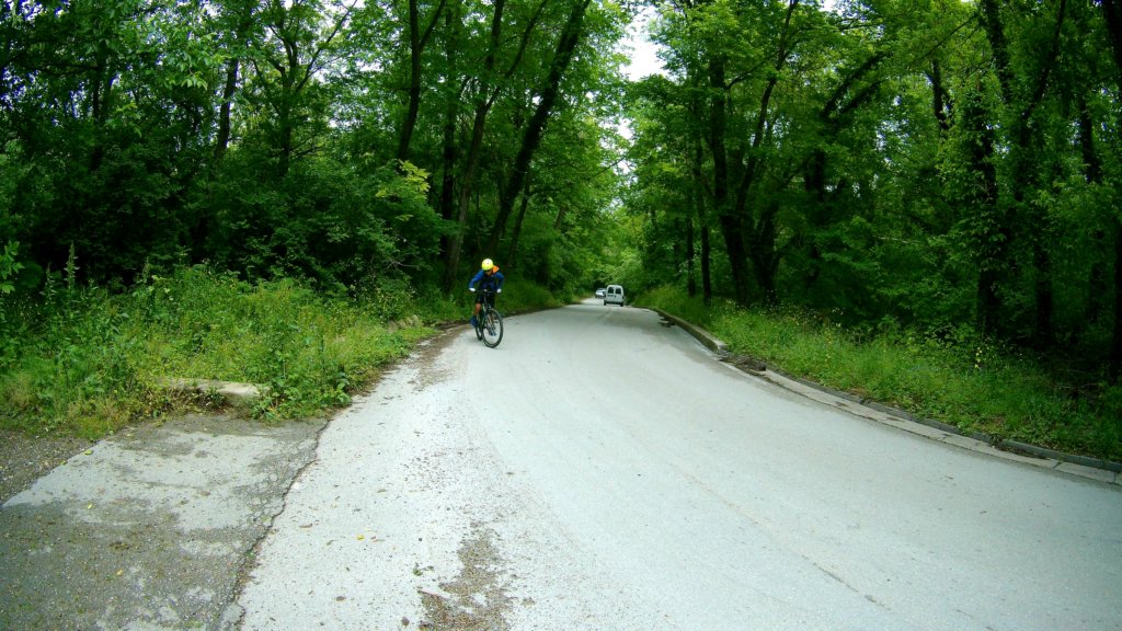 photo11.jpg