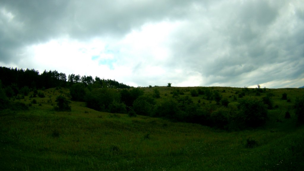 photo8.jpg