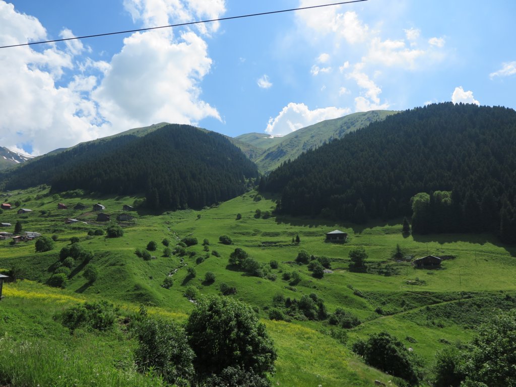 photo11.jpg