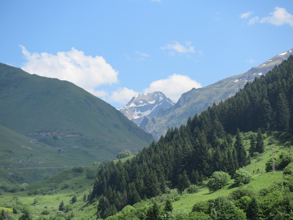 photo9.jpg