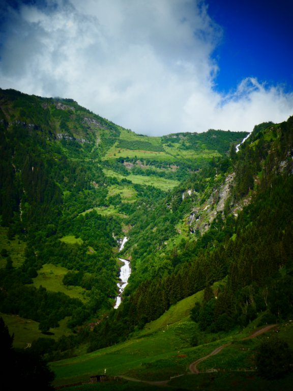 photo18.jpg