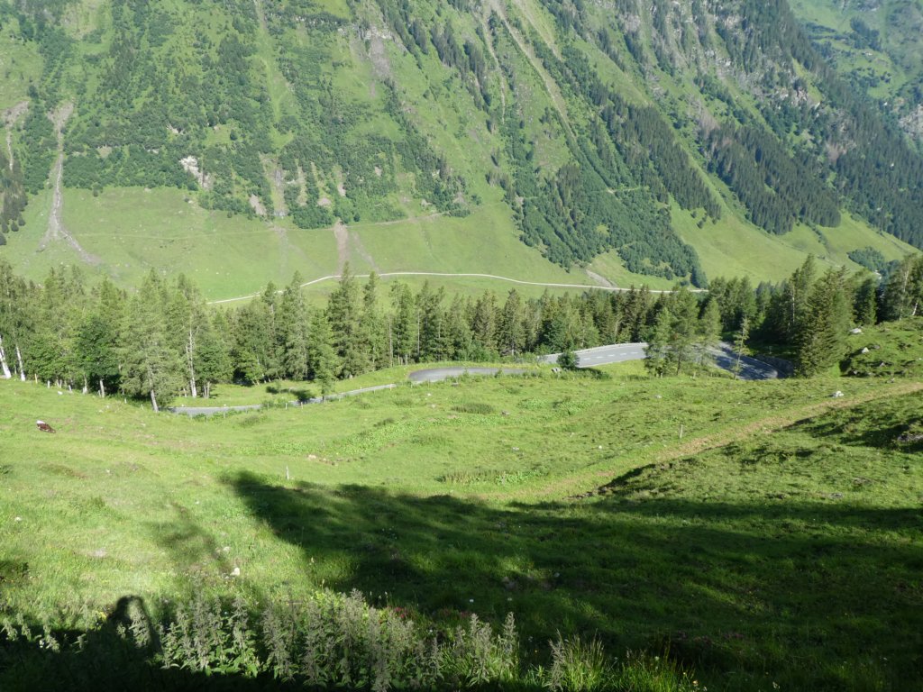 photo33.jpg