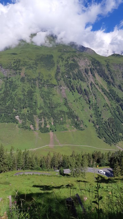 photo36.jpg