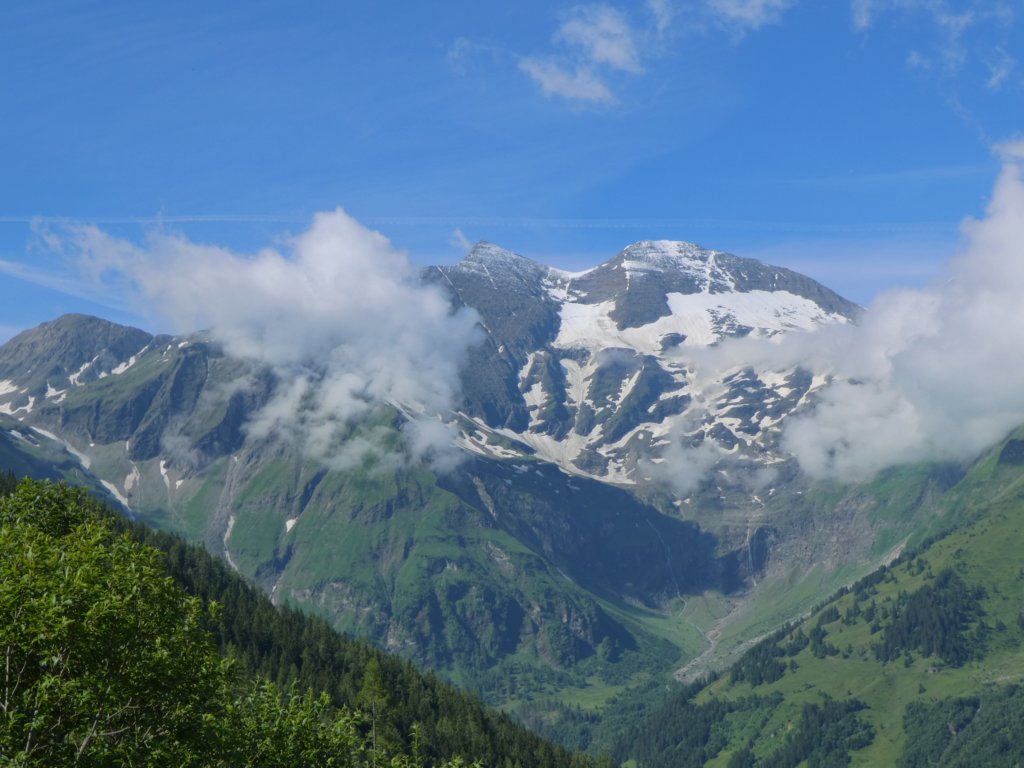 photo41.jpg