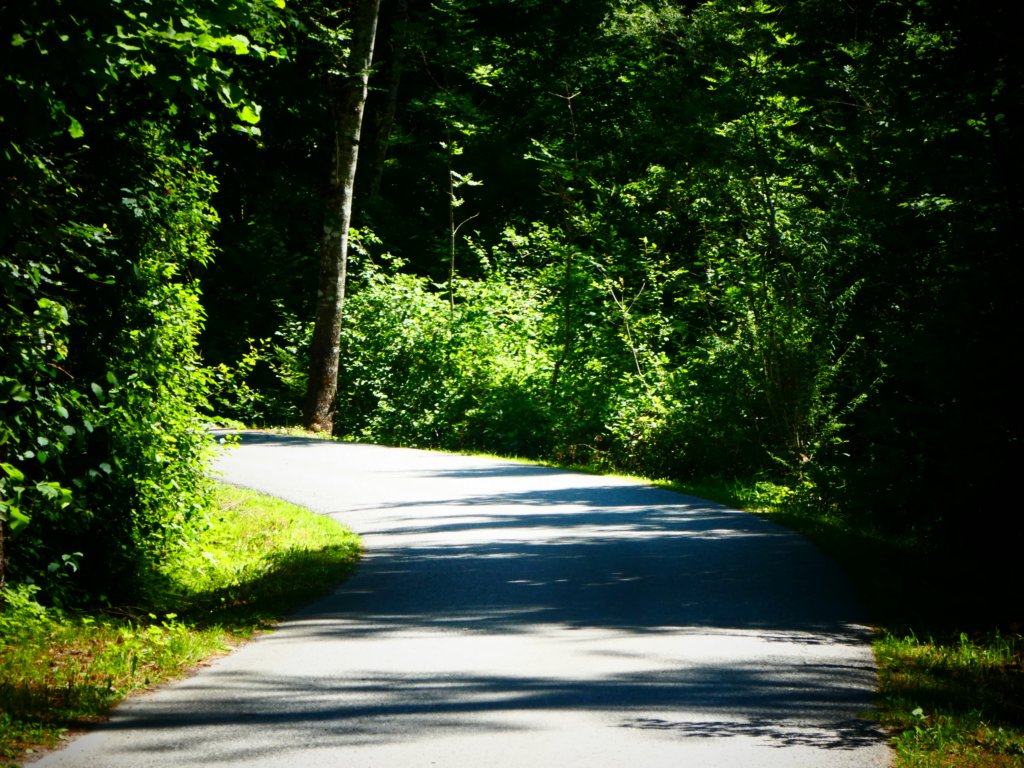 photo15.jpg