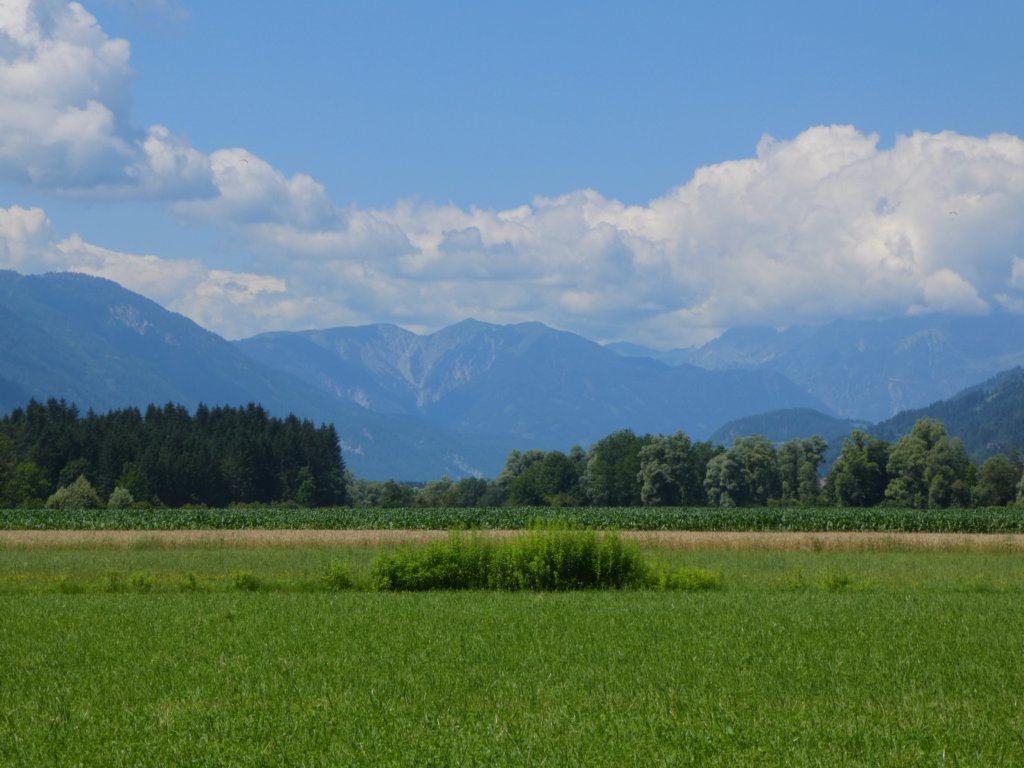 photo18.jpg