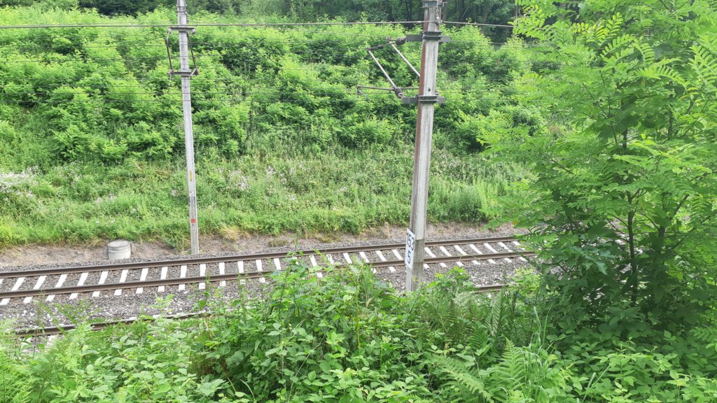 photo7.jpg