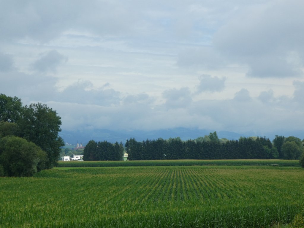 photo19.jpg
