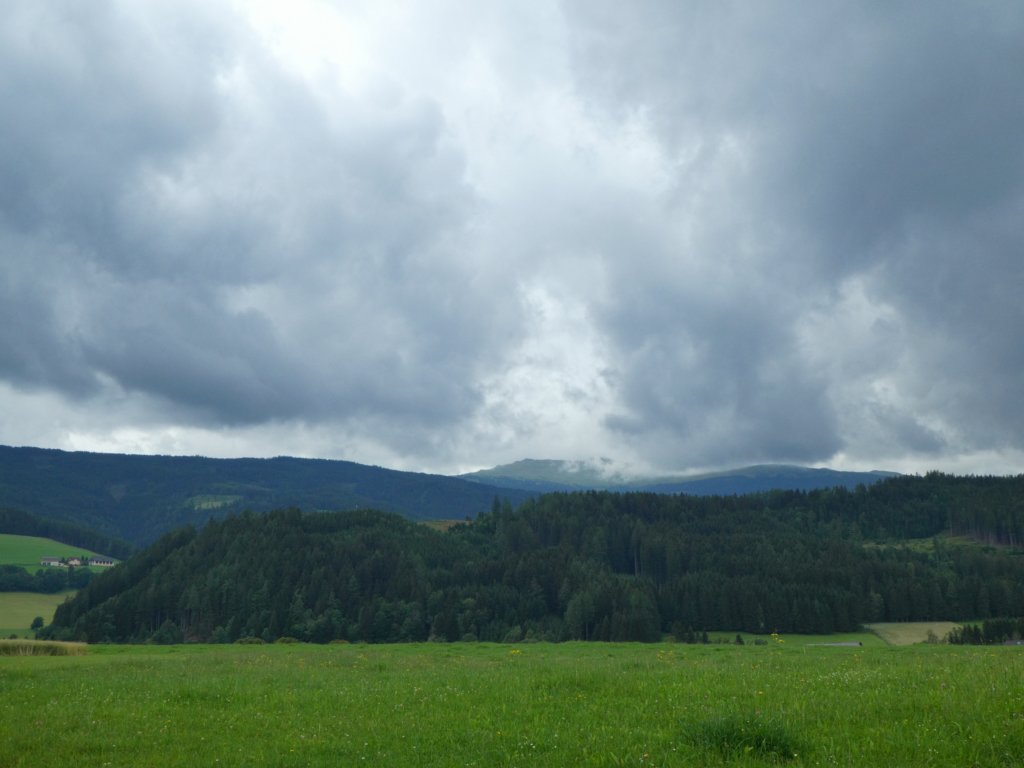 photo48.jpg