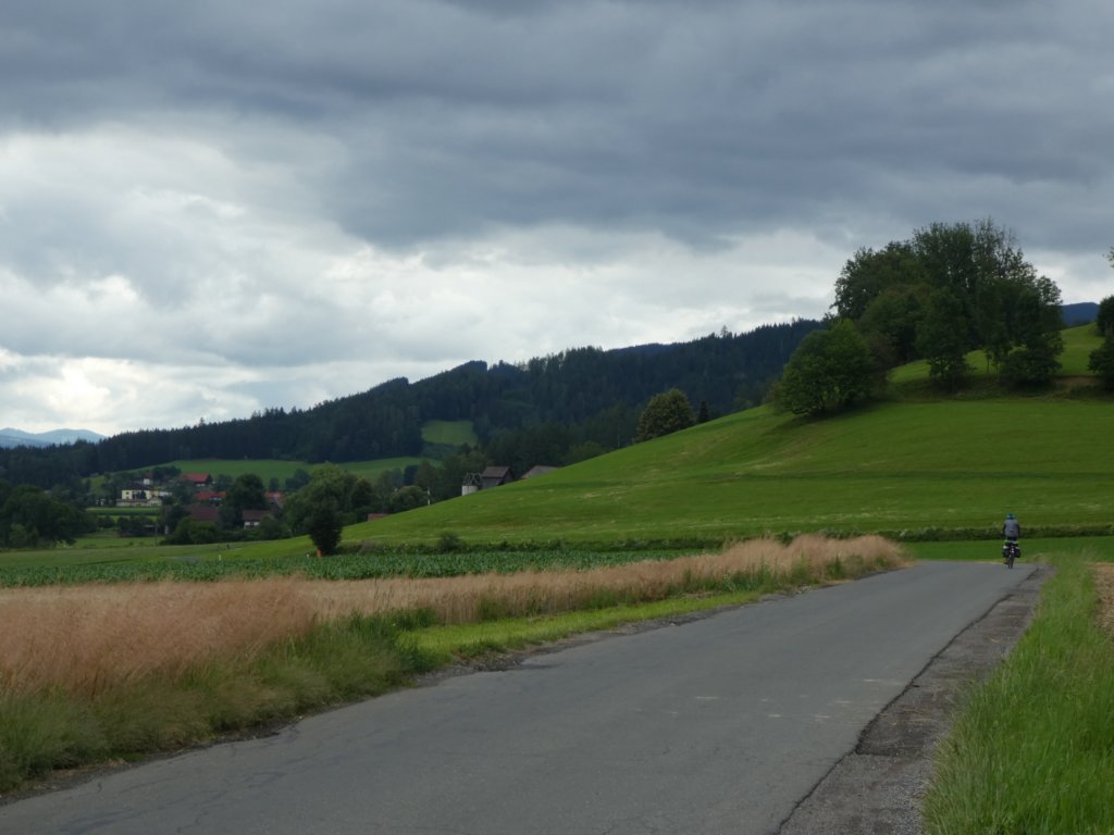 photo11.jpg