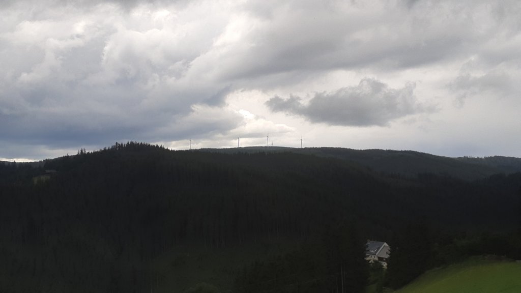photo26.jpg