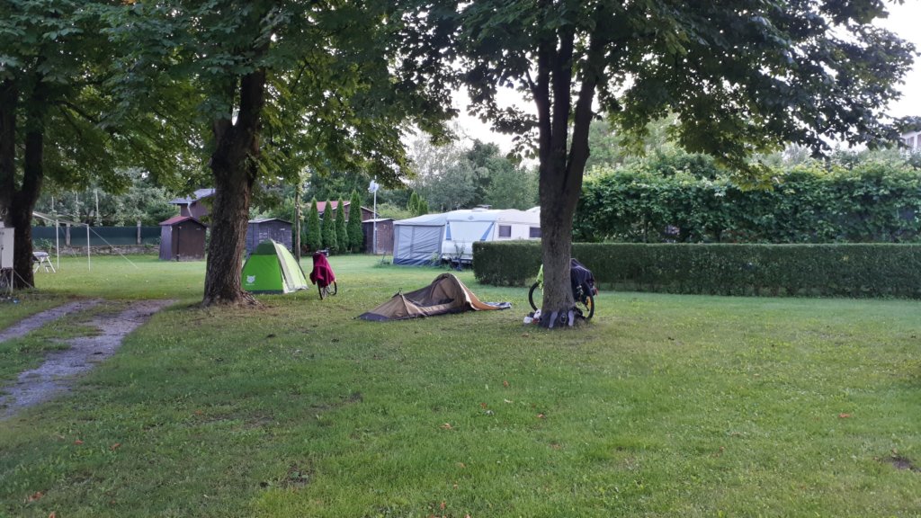 photo41.jpg