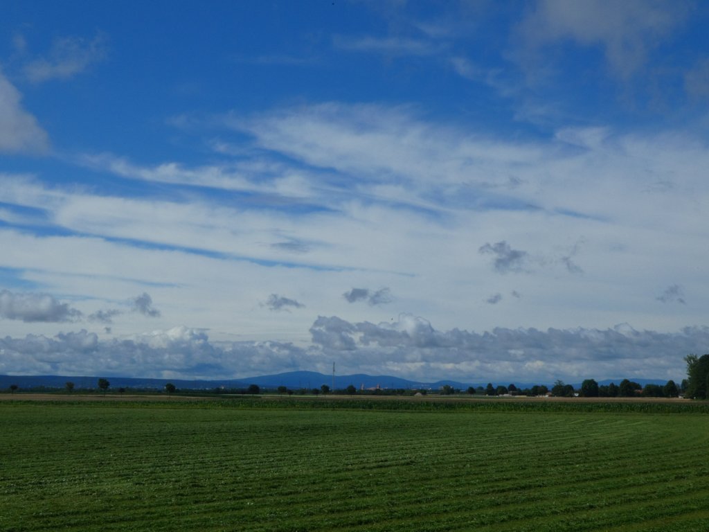 photo29.jpg