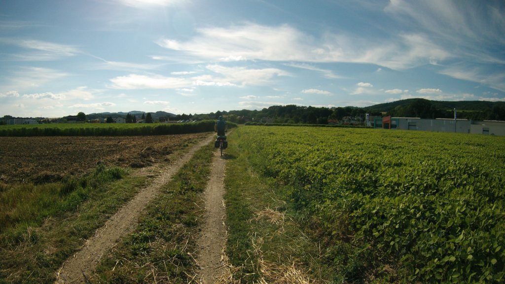 photo62.jpg