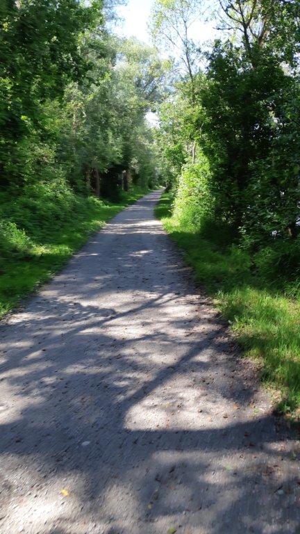 photo39.jpg