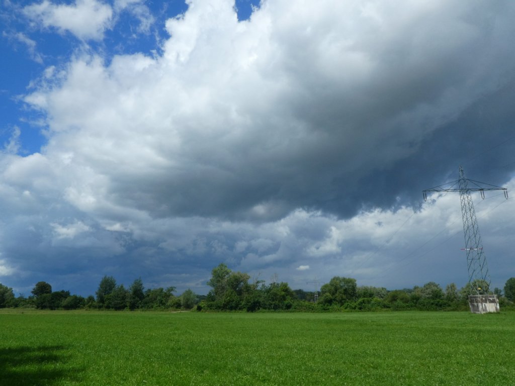 photo42.jpg