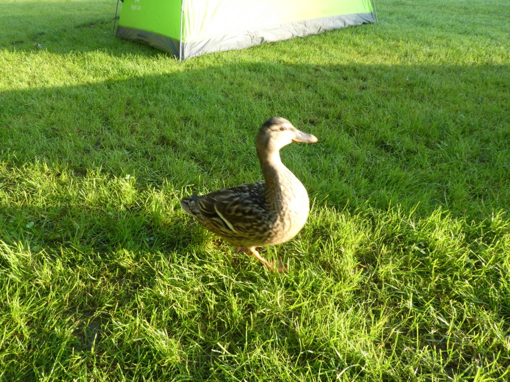 photo7.jpg
