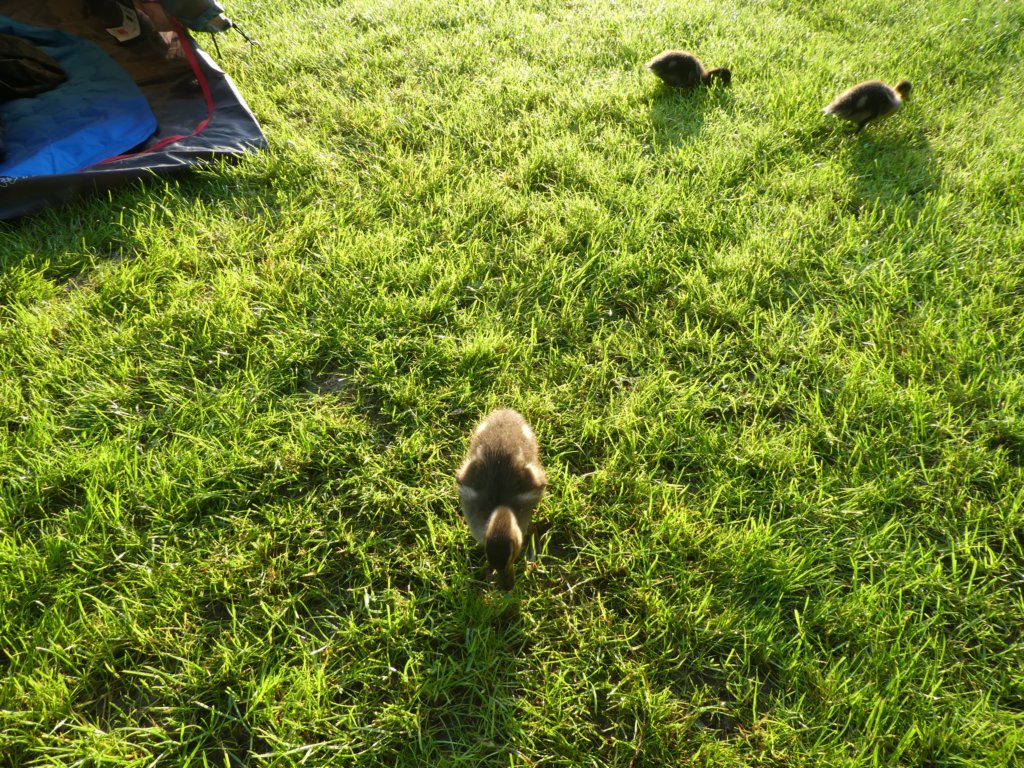photo8.jpg