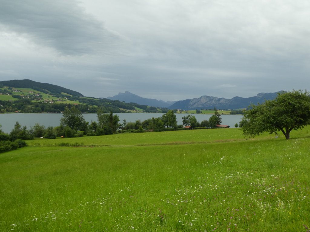 photo83.jpg